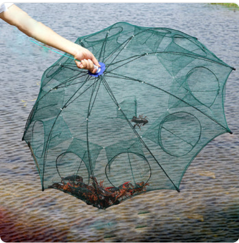 Understanding the Basics of an Umbrella Fishing Net – Translator Gifts