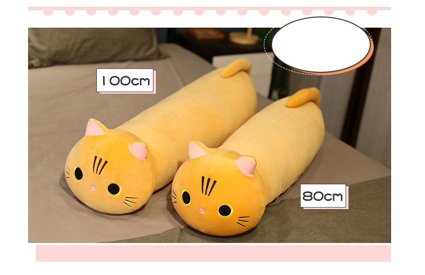 Cat Pillows