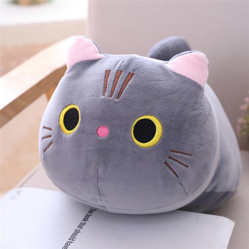 Cat Pillows