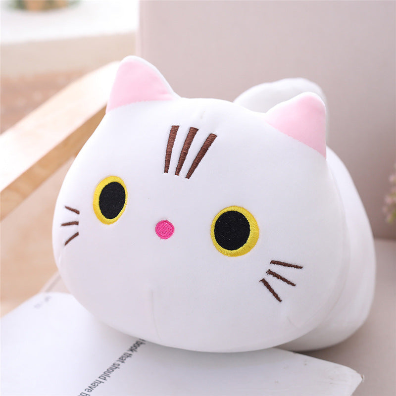 Cat Pillows