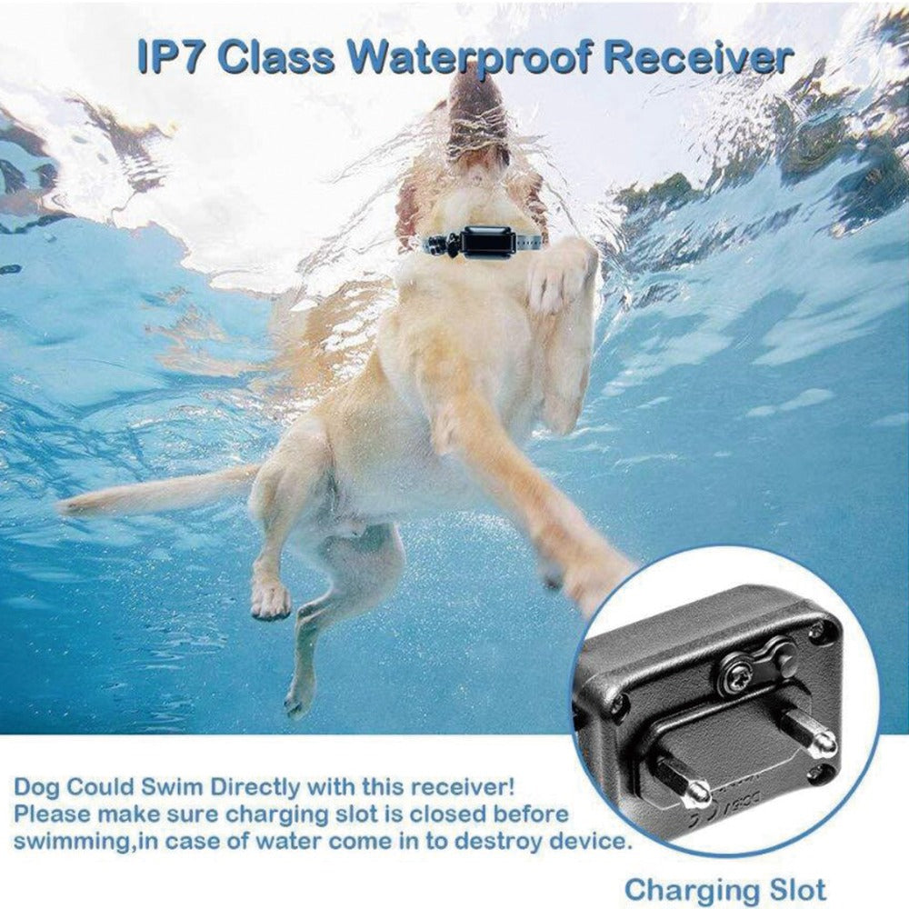 Dog Training Shock Collar