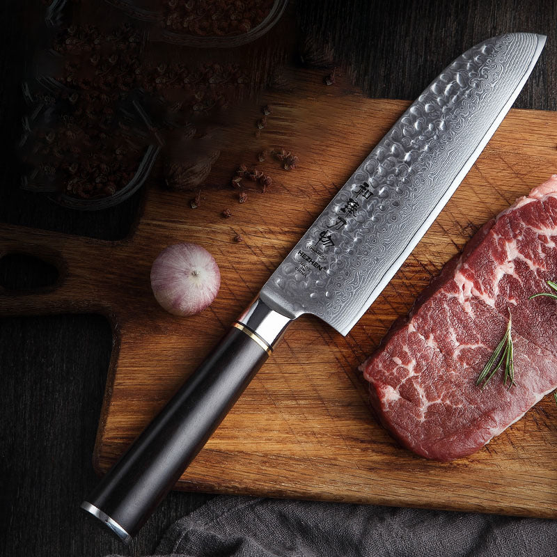 Professional Slicing Knife
