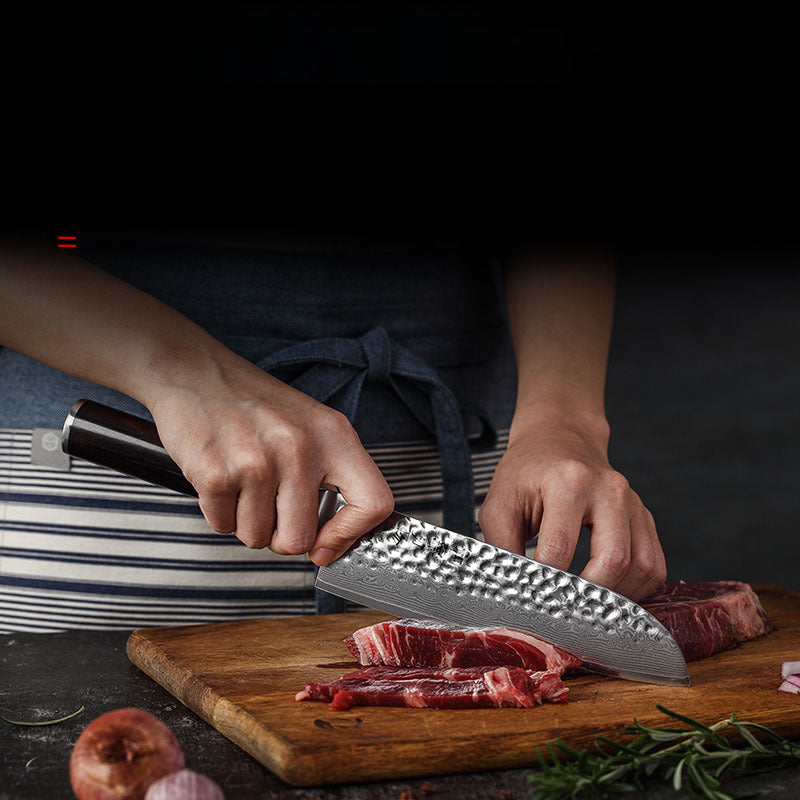 Professional Slicing Knife