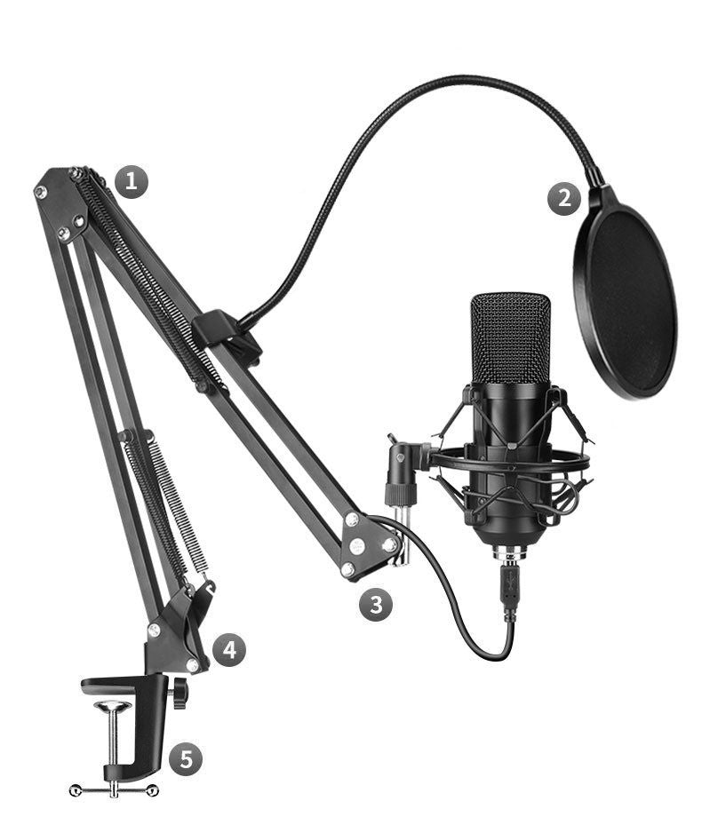 BM-700 Microphone set