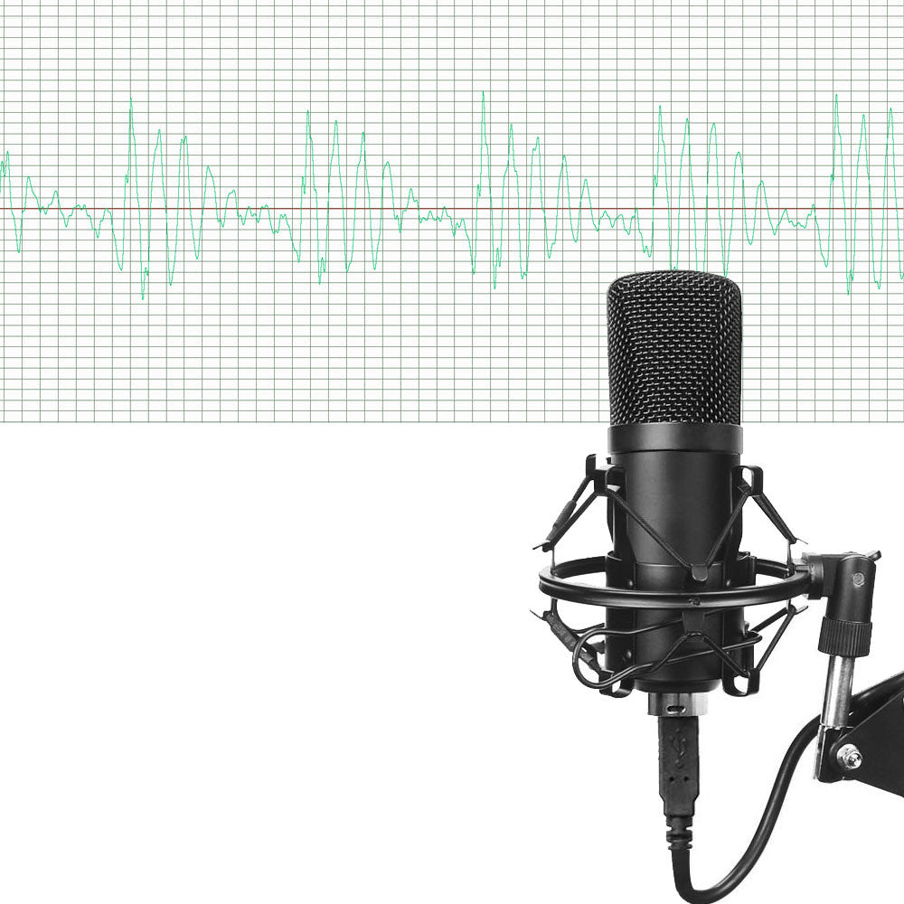 BM-700 Microphone set