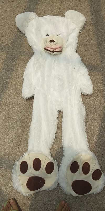 Giant love bear