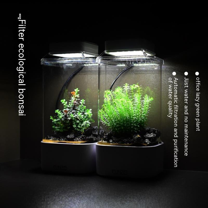 Bonsai tank