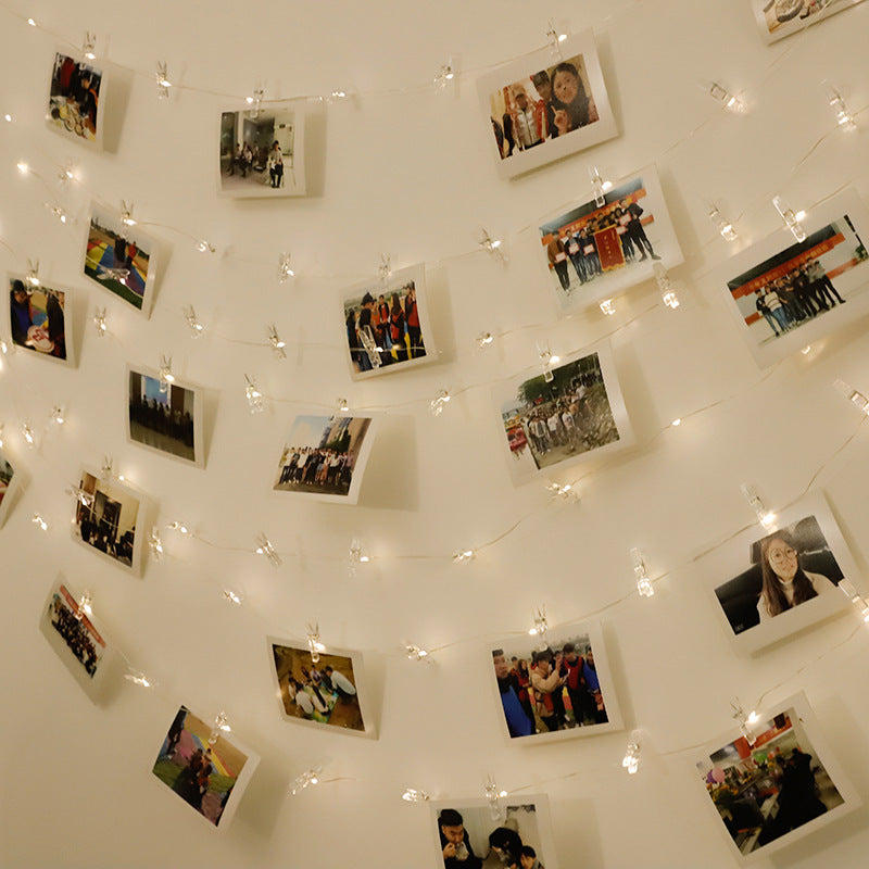 LED Copper Wire Gypsophila