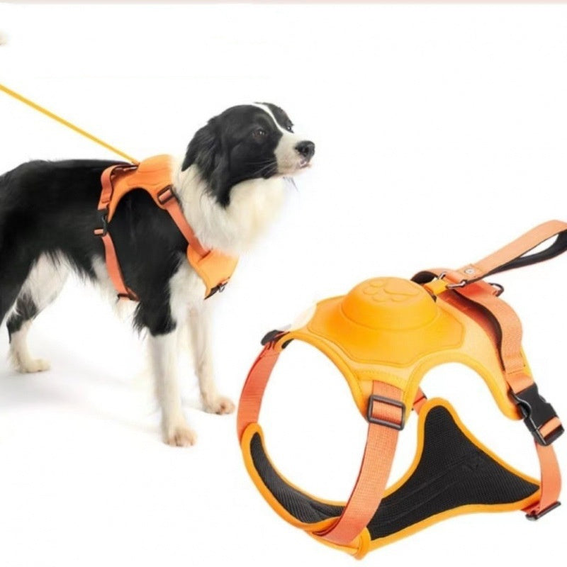 Puppy Pacer Harness: Leash Magic