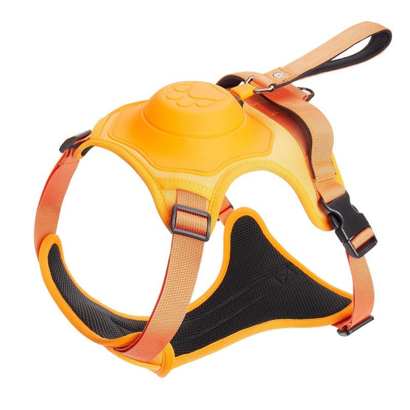 Puppy Pacer Harness: Leash Magic