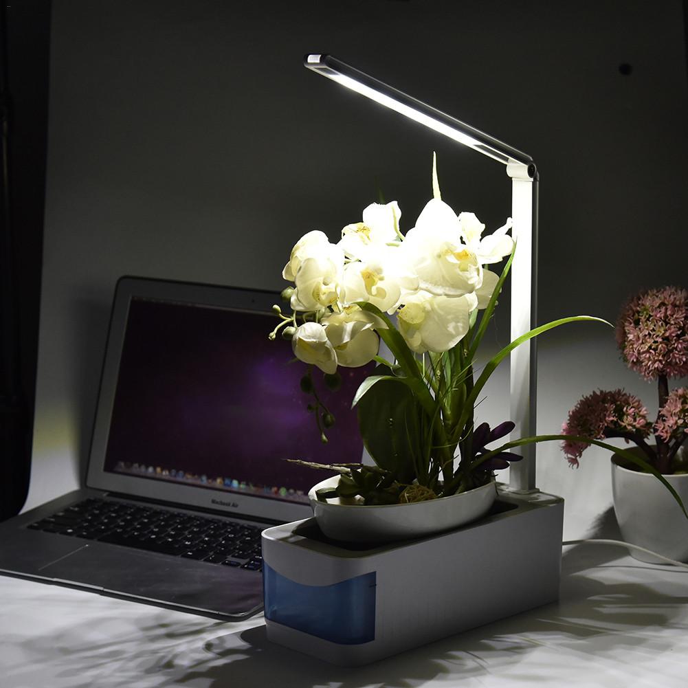 Hydroponic Indoor Grow Light