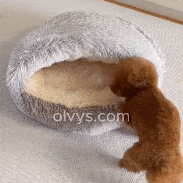 SnuggleTail Pooch Haven Bed