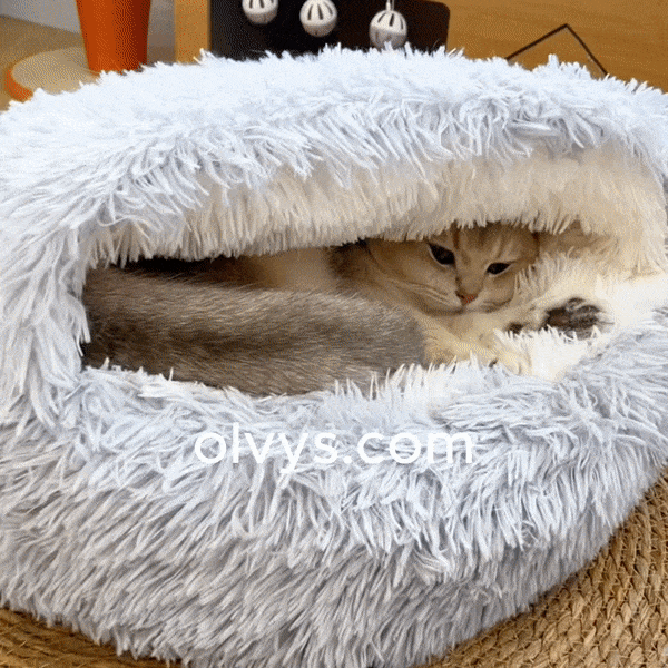 SnuggleTail Pooch Haven Bed