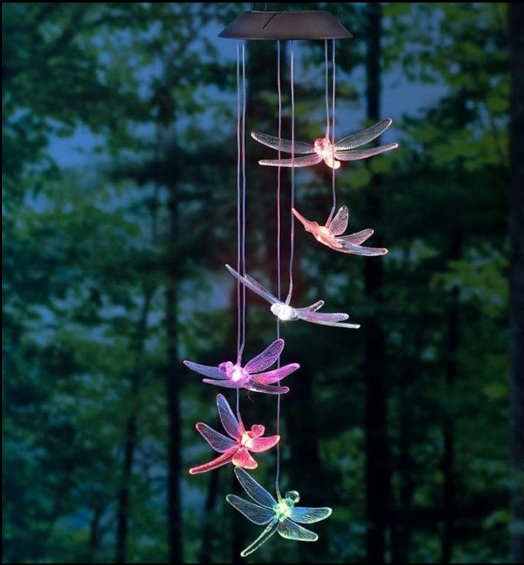 Solar powered wind chimes with colourful hummingbird shapes, hanging from a tree branch and illuminated with LED lights