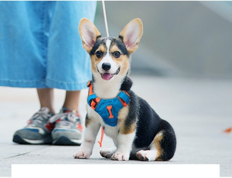 Puppy Traction Vest