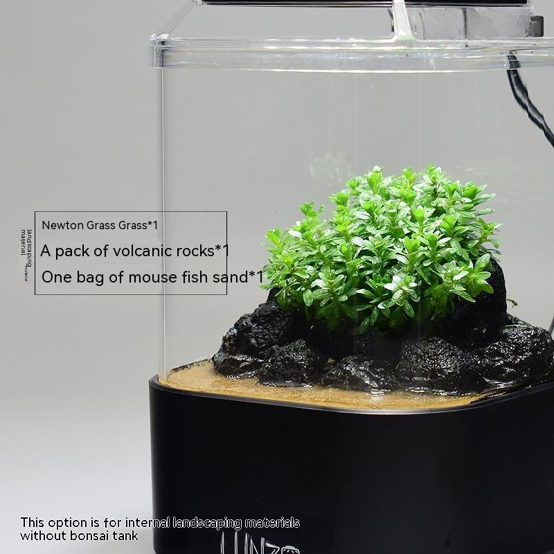Simple Desktop Succulent Glass Flowerpotmicro Landscape Square Landscape VaseWith Hole And Base
