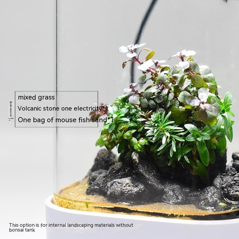 Simple Desktop Succulent Glass Flowerpotmicro Landscape Square Landscape VaseWith Hole And Base