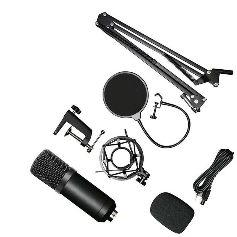 BM-700 Microphone set