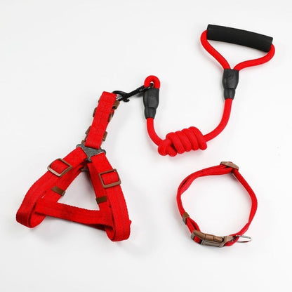 Puppy Pacer Harness: Leash Magic