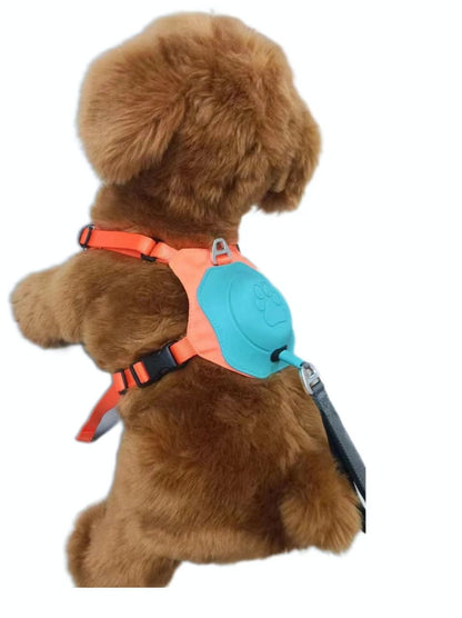 Puppy Pacer Harness: Leash Magic